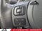 2023 Lexus IS IS 500 F SPORT Performance Premium