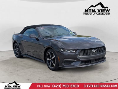 2024 Ford Mustang EcoBoost Premium