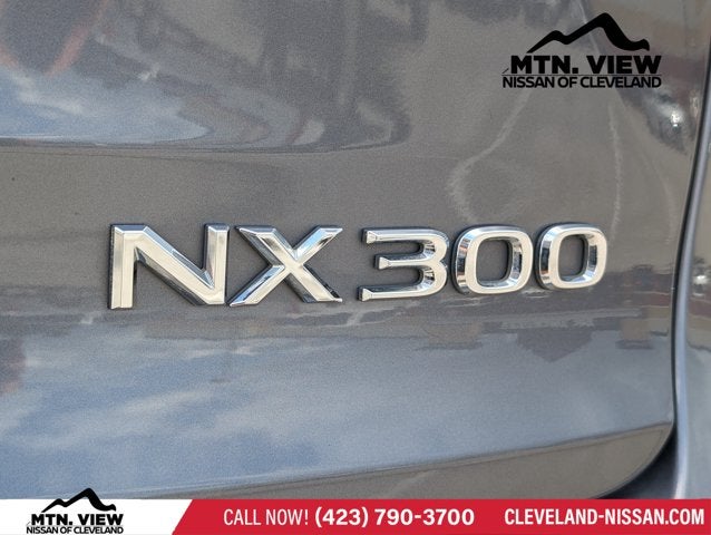 2019 Lexus NX NX 300
