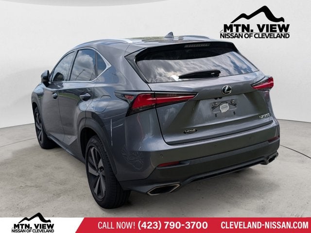 2019 Lexus NX NX 300