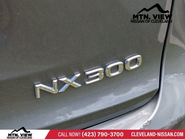 2019 Lexus NX NX 300
