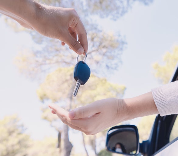 1 Day FREE Rental Car